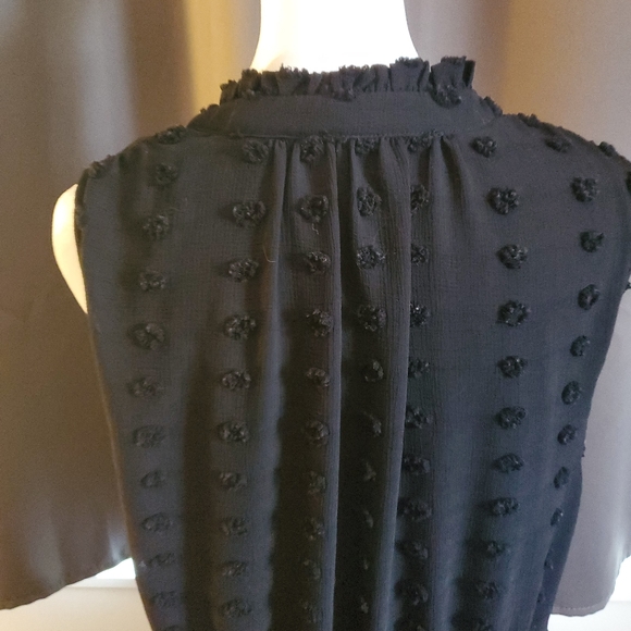 Sweet Wanderer sleeveless black dress with swiss dot design. - Picture 5 of 6